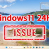 Windows11 24H2 Issue