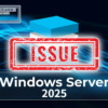 Windows Server 2025 Issue